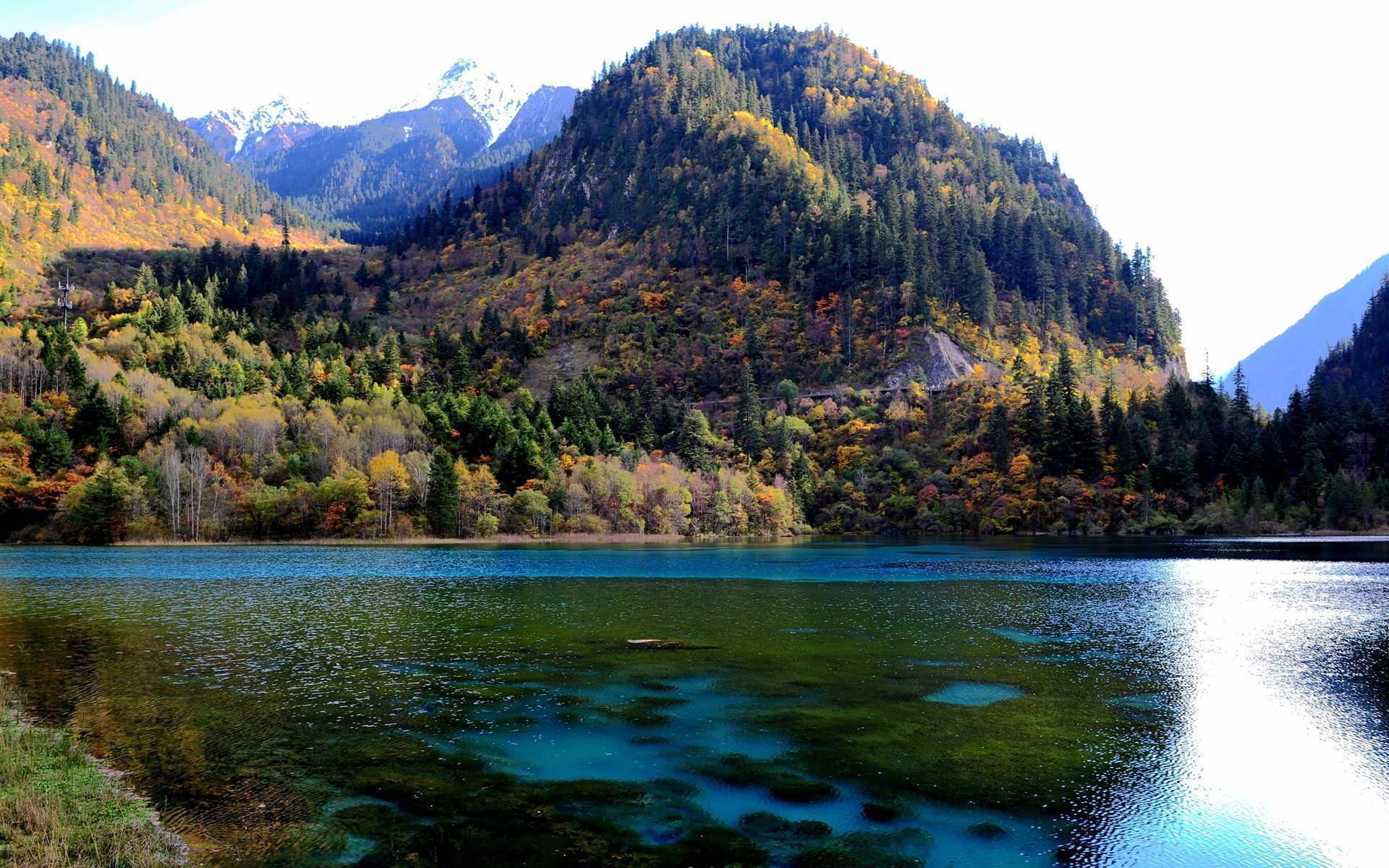 高清美景九寨沟唯美自然风景手机壁纸图片