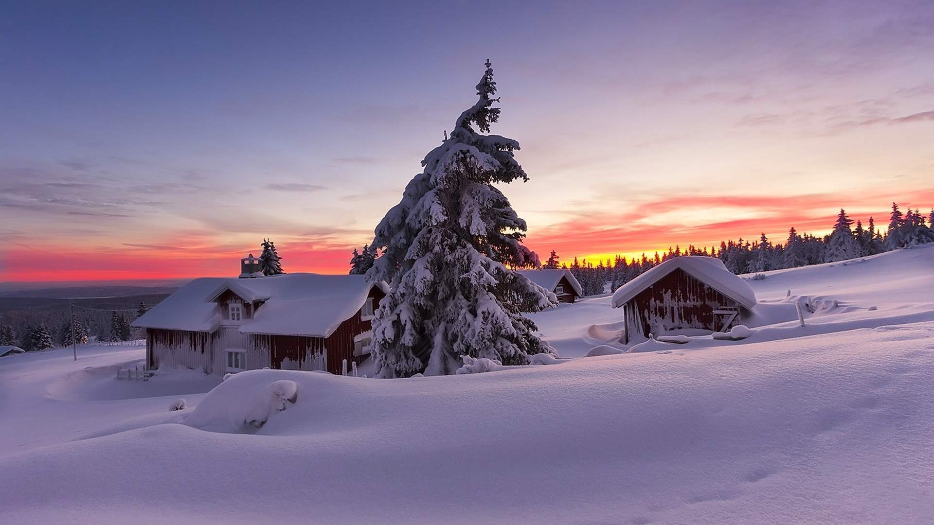 美丽的雪景720X1280手机壁纸图片