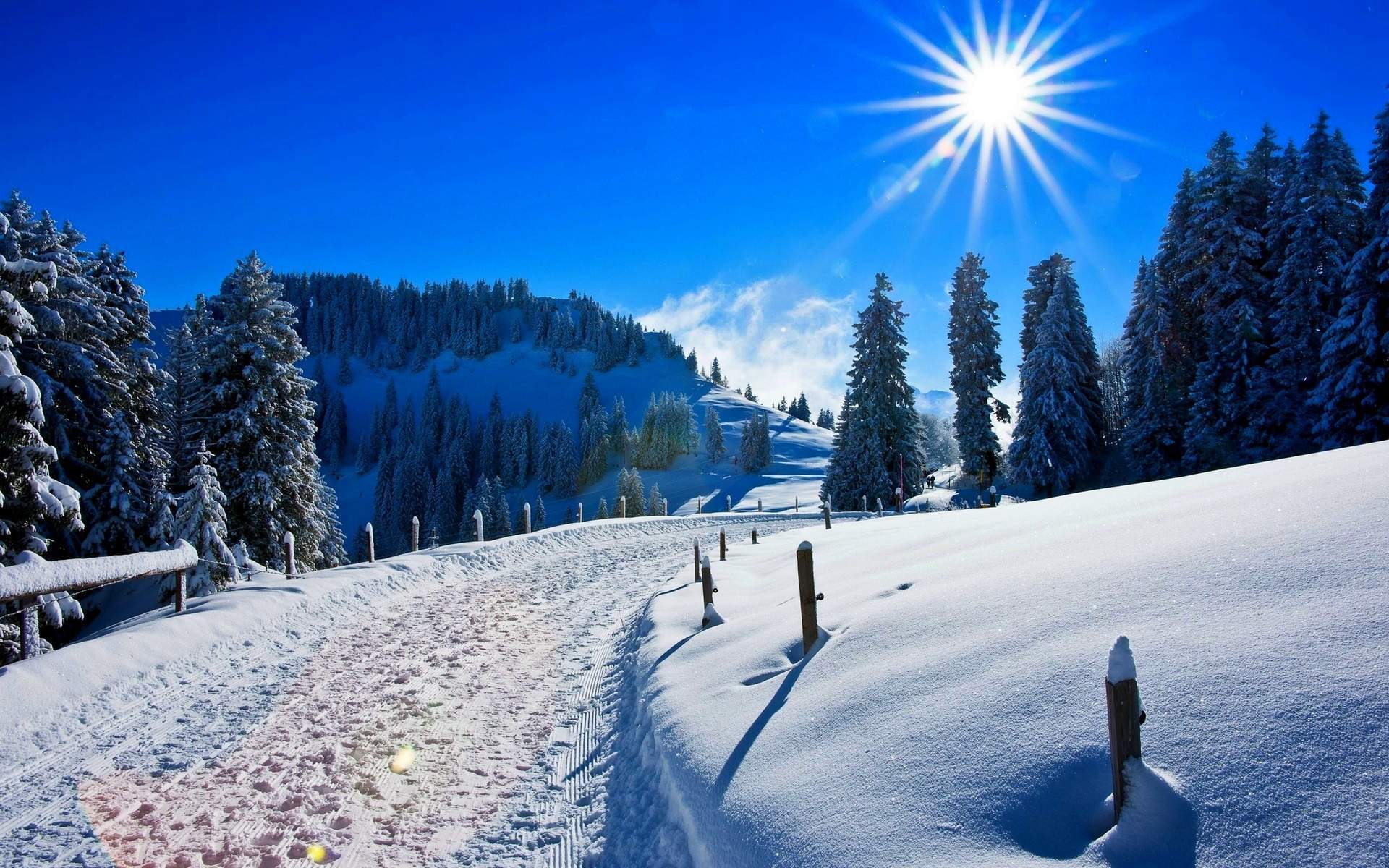 入冬下雪高清手机壁纸744*1392图片