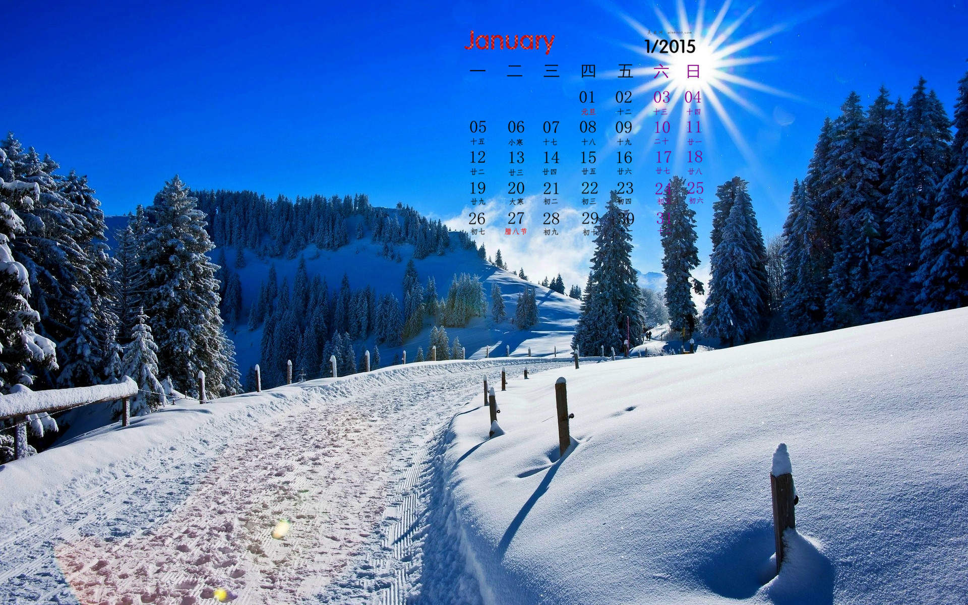 美丽的雪景720X1280手机壁纸图片