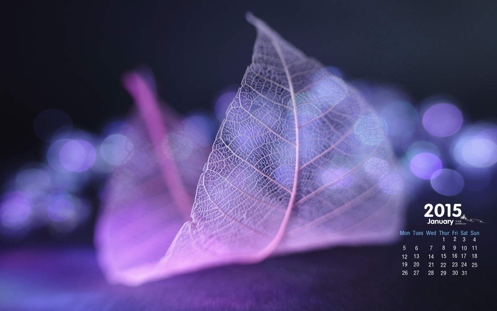 唯美秋季枫树叶图片高清电脑壁纸 第三辑图片