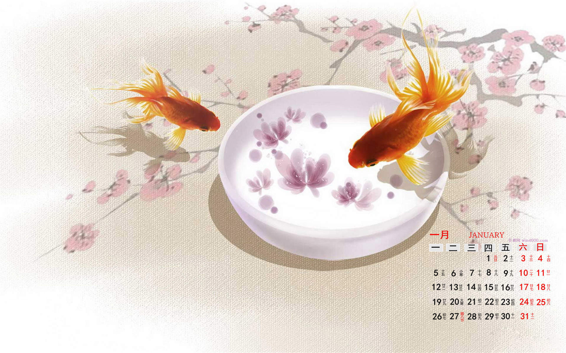 最流行新款薛之谦精美铅笔素描图片图片
