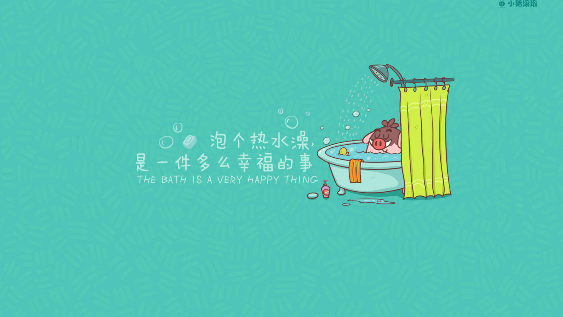 可爱的卡通小猪唯美高清手机壁纸图片