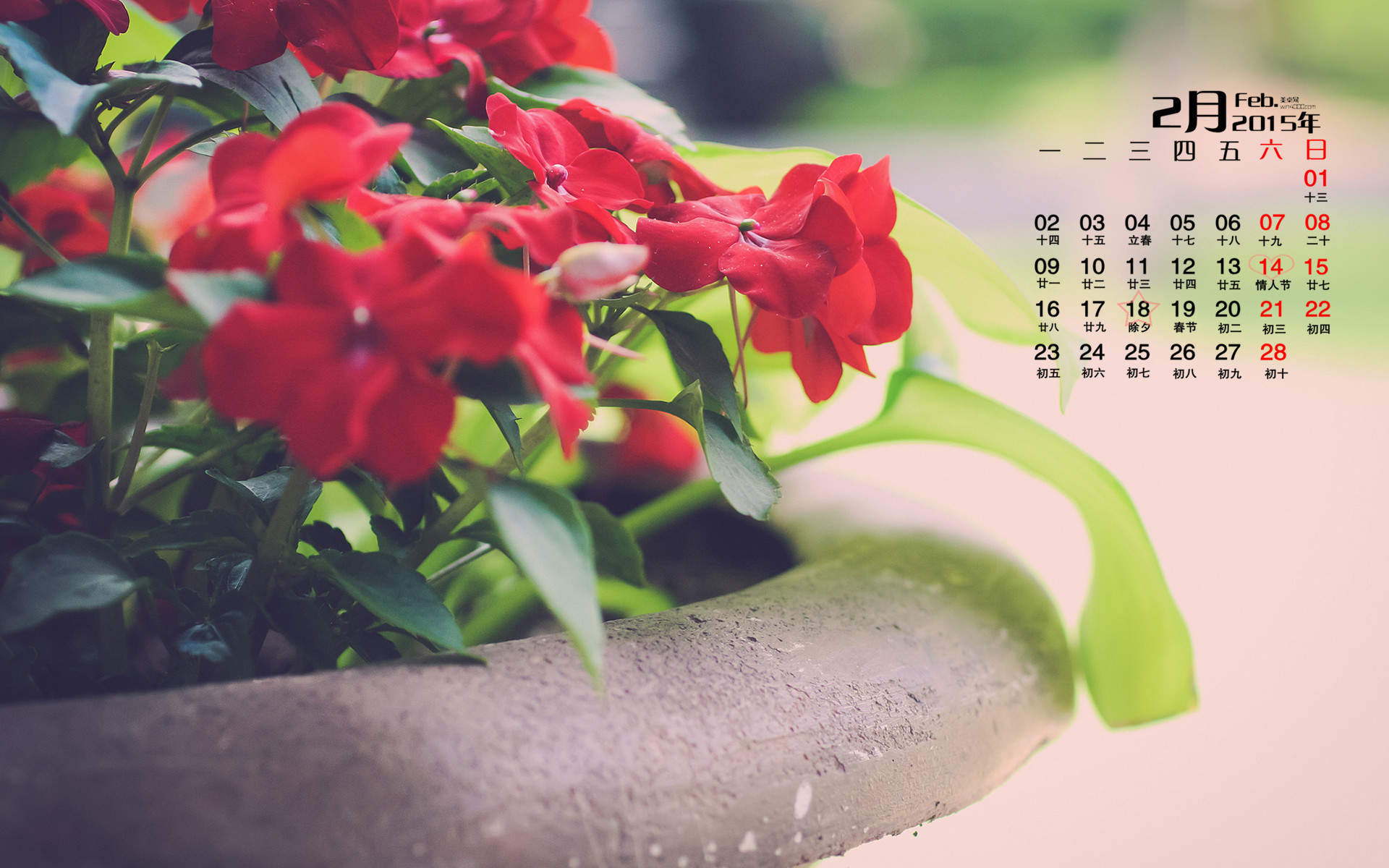 治愈系图片图片