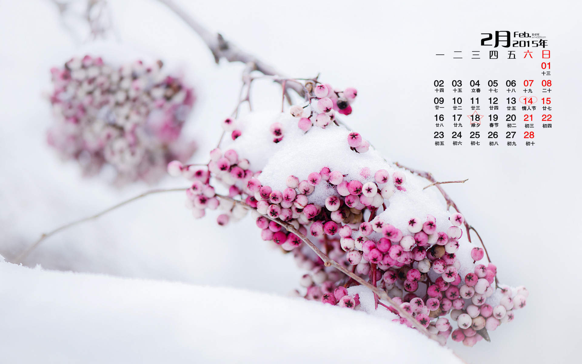 2015年3月日历壁纸精选宛如仙境的清新大自然唯美意境风景素材图片(一)图片