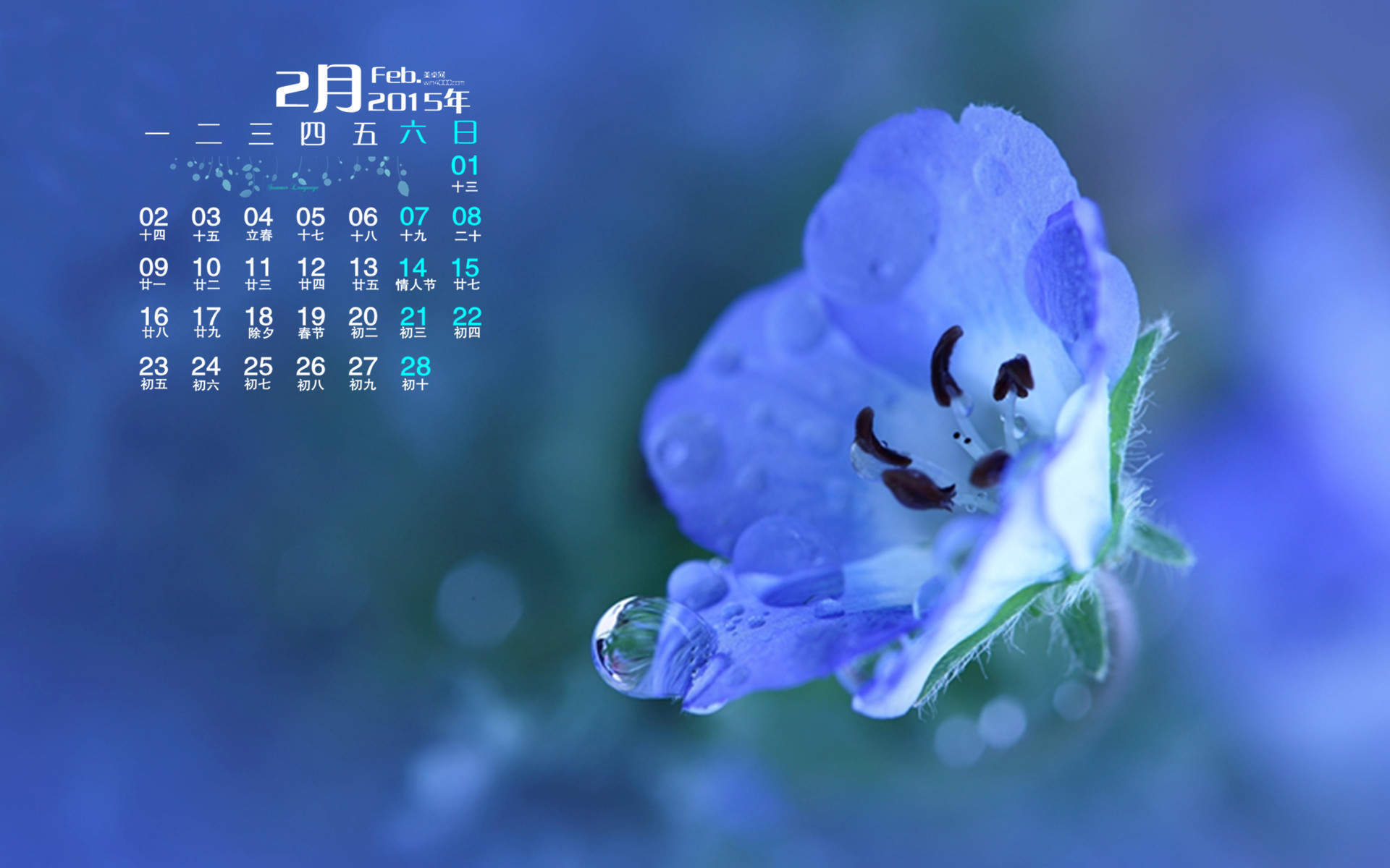 2015年4月日历勃发生命力的春季绿色花草植物高清电脑图片桌面壁纸(2)图片