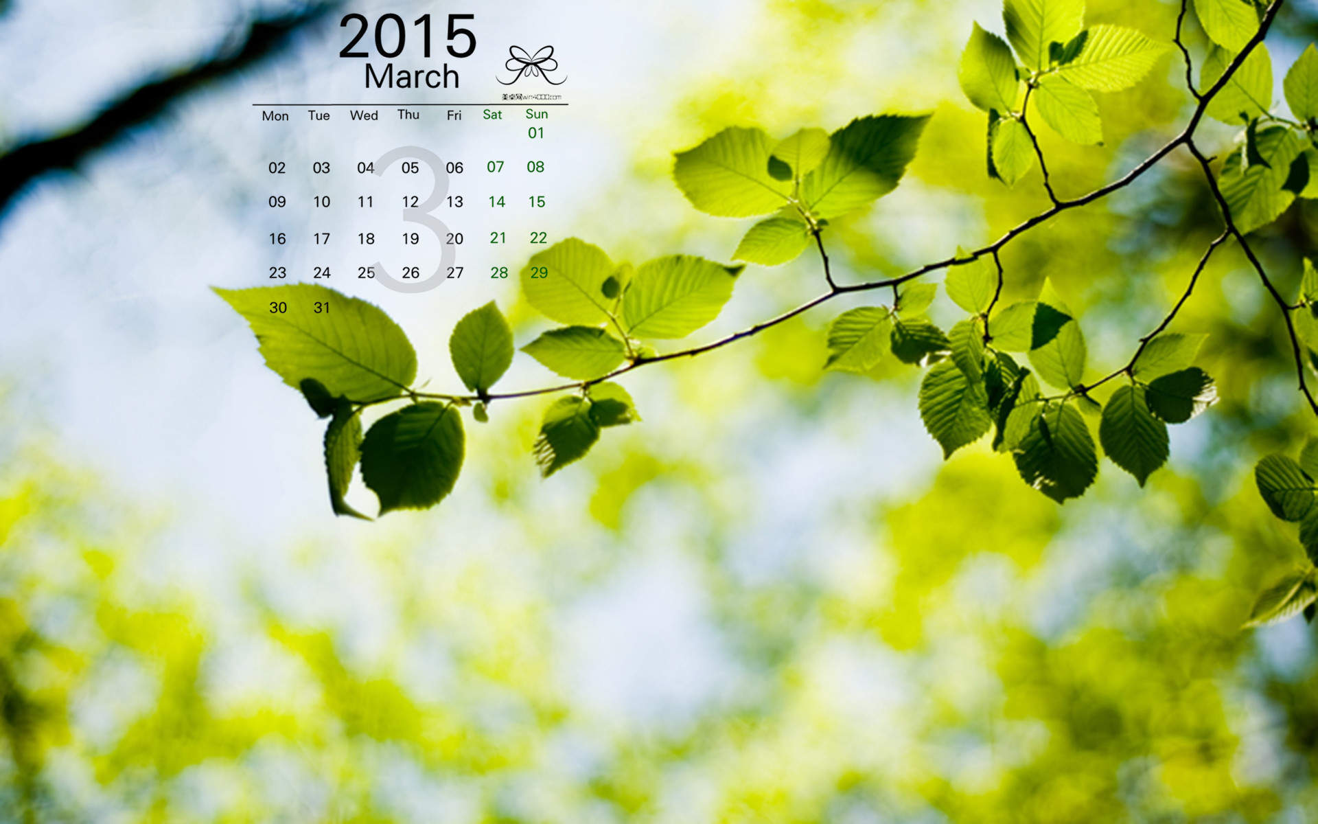 2015年4月日历勃发生命力的春季绿色花草植物高清电脑图片桌面壁纸(2)图片