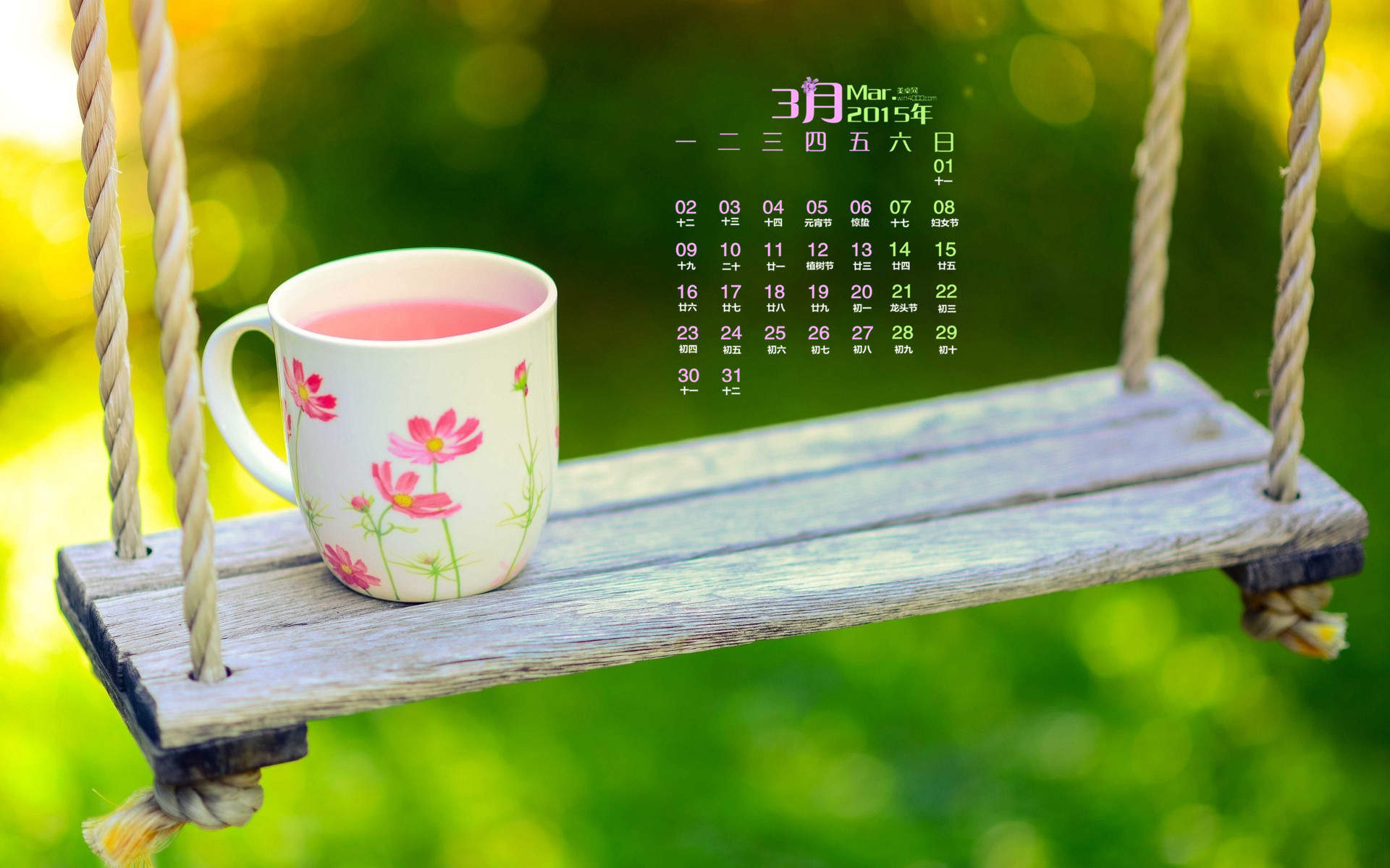 2015年6月日历壁纸晨光熹微中一棵三叶草唯美治愈系图片下载图片