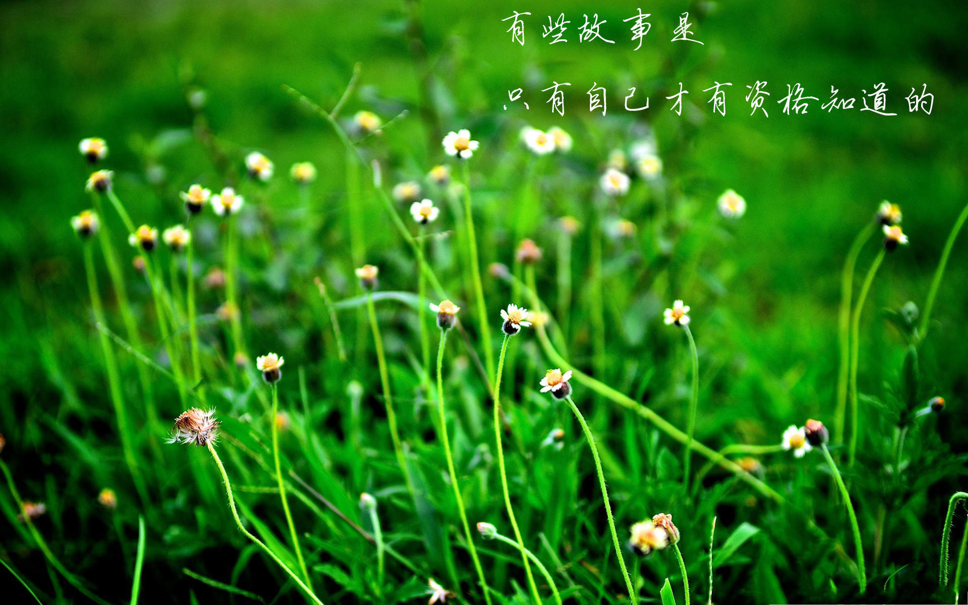 温馨感动谢谢你主题伤感文字语录个性非主流带字伤心图片图片