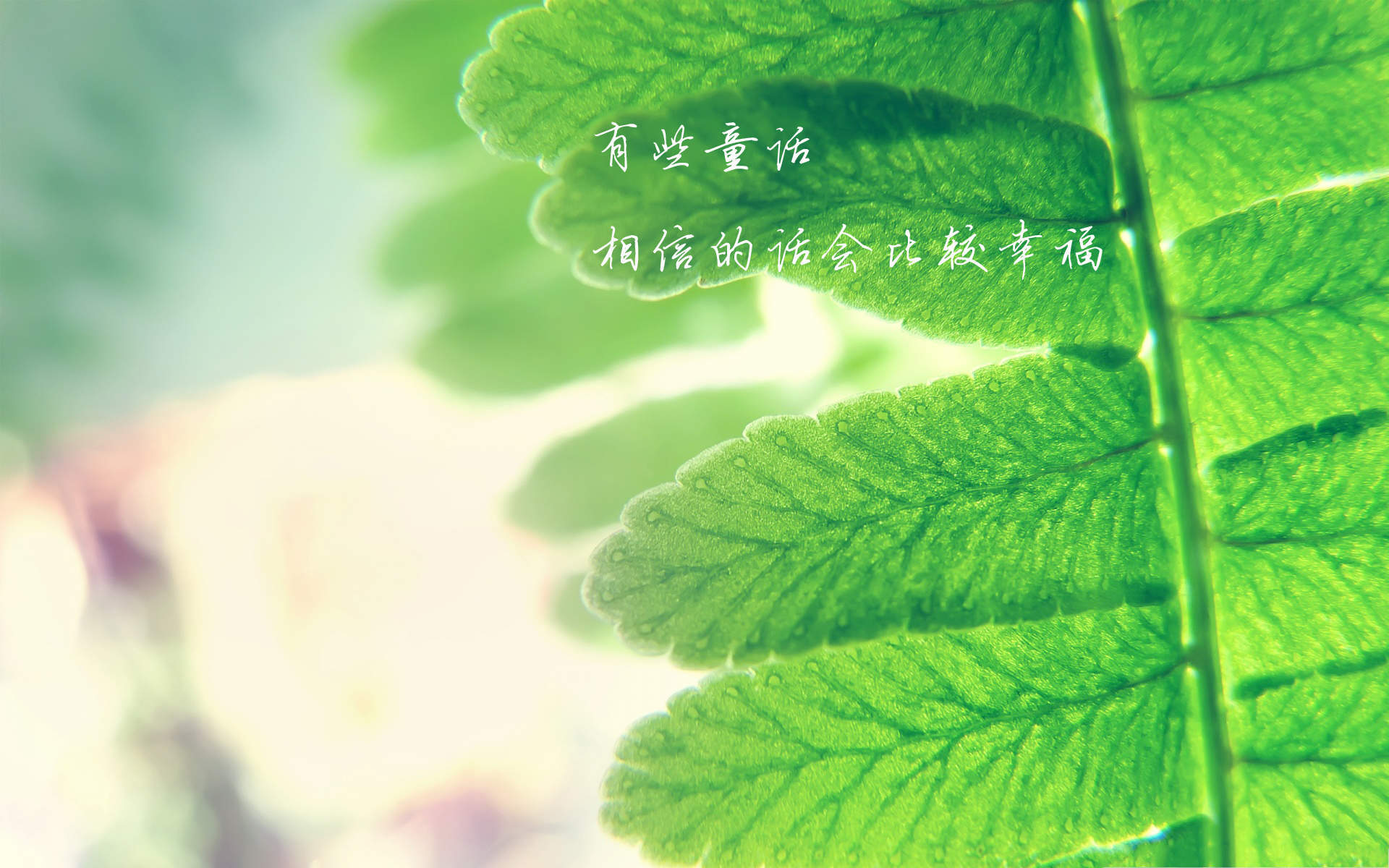 精选伤感文字唯美意境手机壁纸下载图片