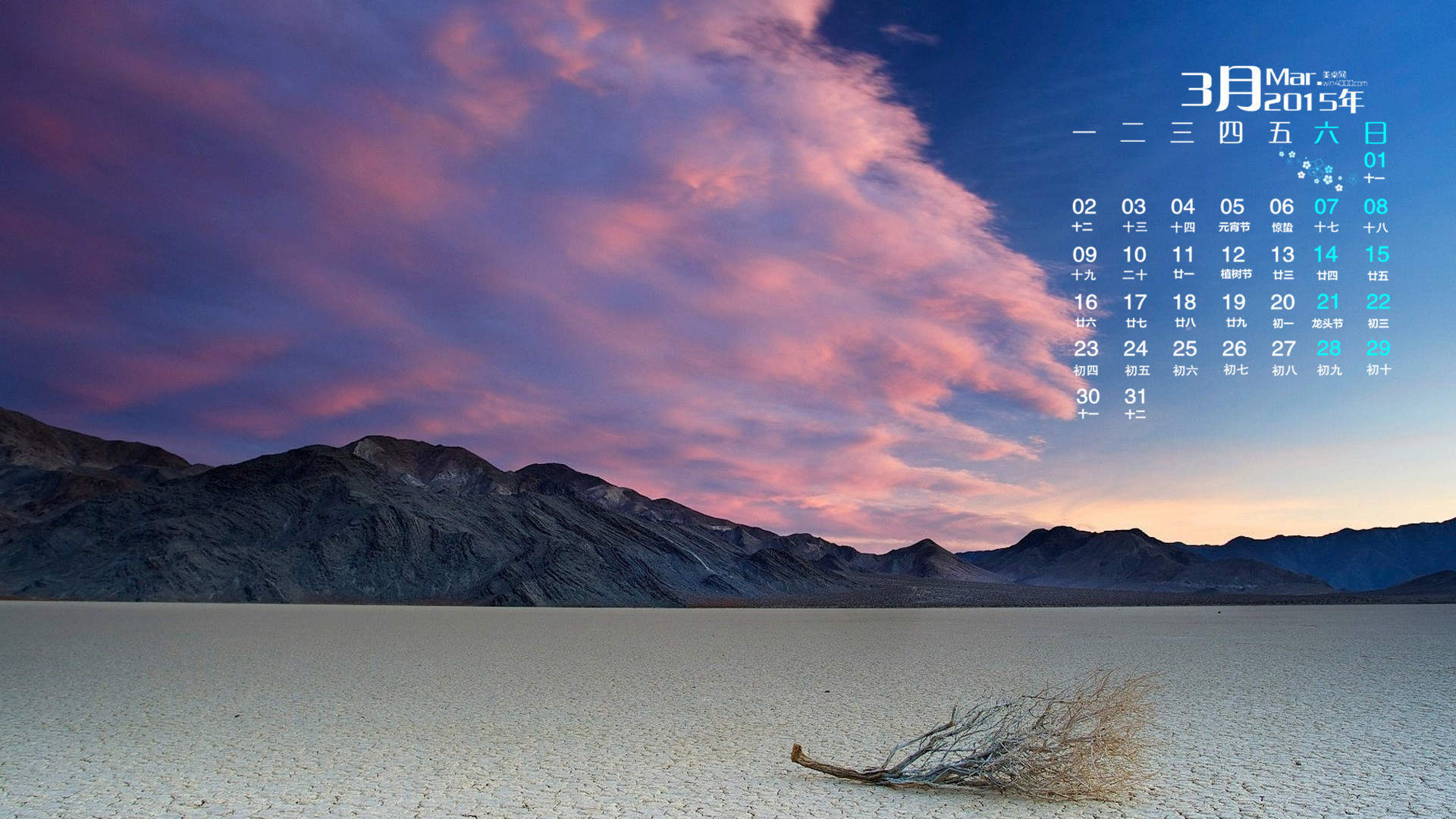 高清中国内地北京朝阳女演员邢菲白色露背装性感写真图片图片