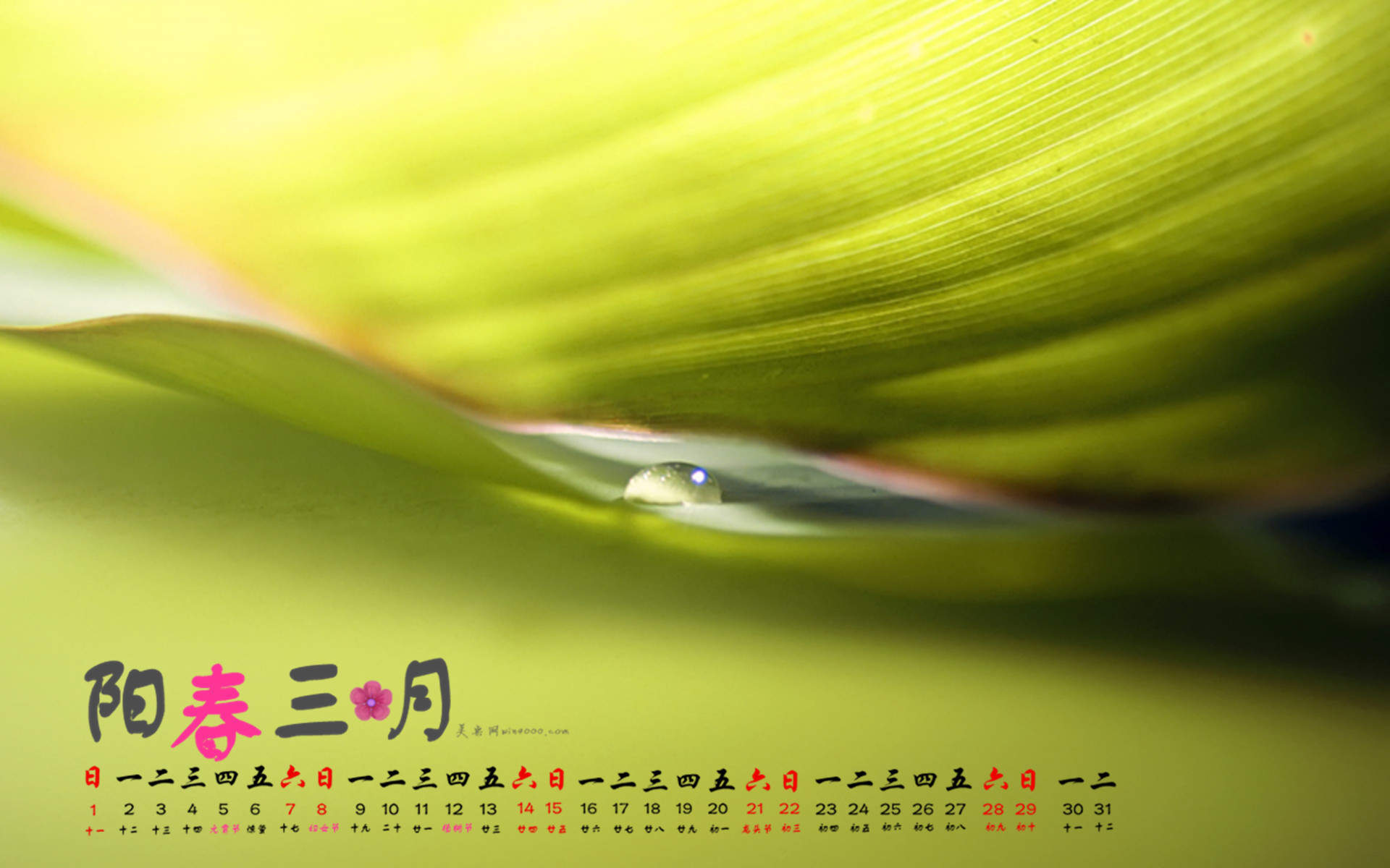绿色图片图片