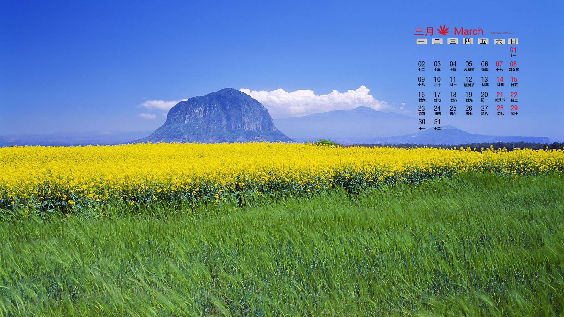 美丽风景图片图片