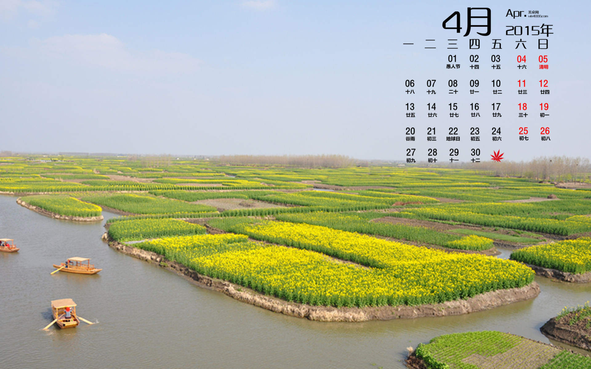 2015年4月日历勃发生命力的春季绿色花草植物高清电脑图片桌面壁纸(2)图片