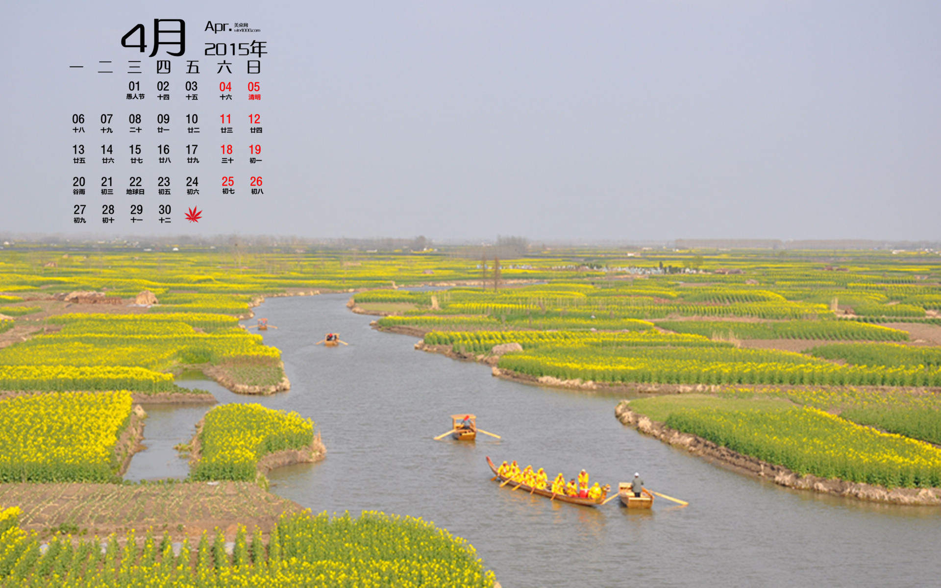 2015年4月日历勃发生命力的春季绿色花草植物高清电脑图片桌面壁纸(2)图片