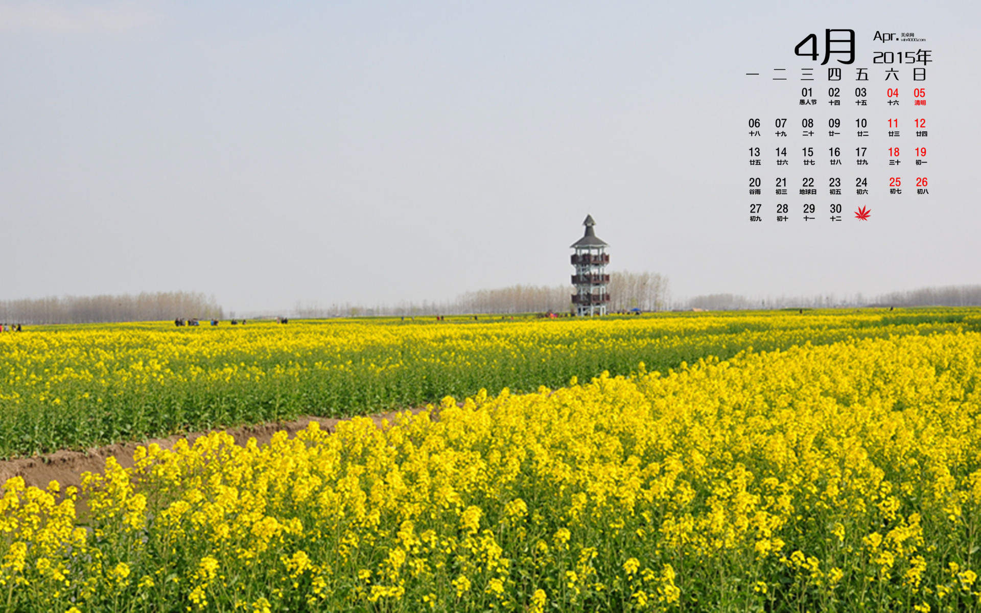 2015年4月日历勃发生命力的春季绿色花草植物高清电脑图片桌面壁纸(2)图片