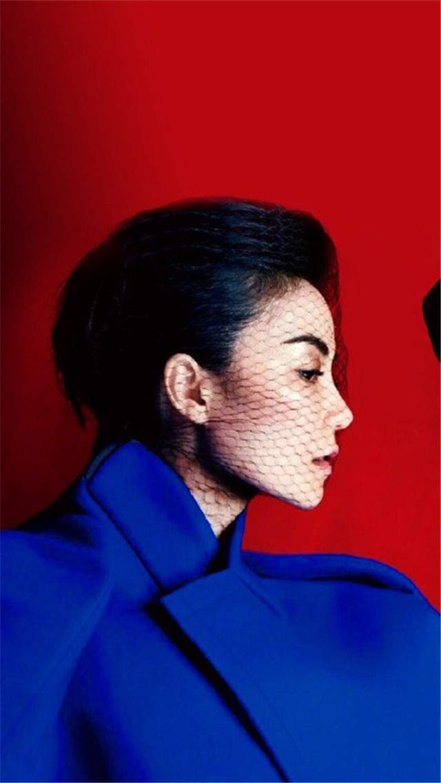 歌坛天后王菲长发气质女神范儿写真图片图片