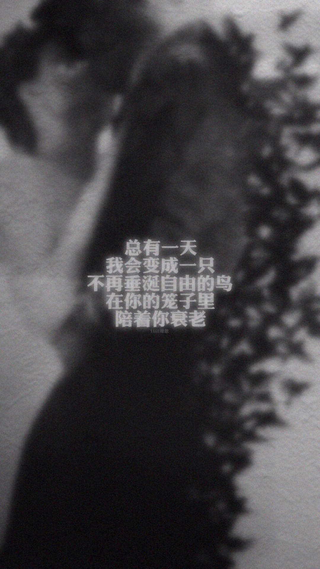 Q版卡通iPhone6 Plus壁纸下载图片