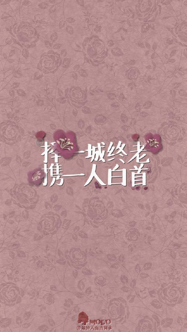 精选创意文字简约伤感励志iPhone5s壁纸2下载图片
