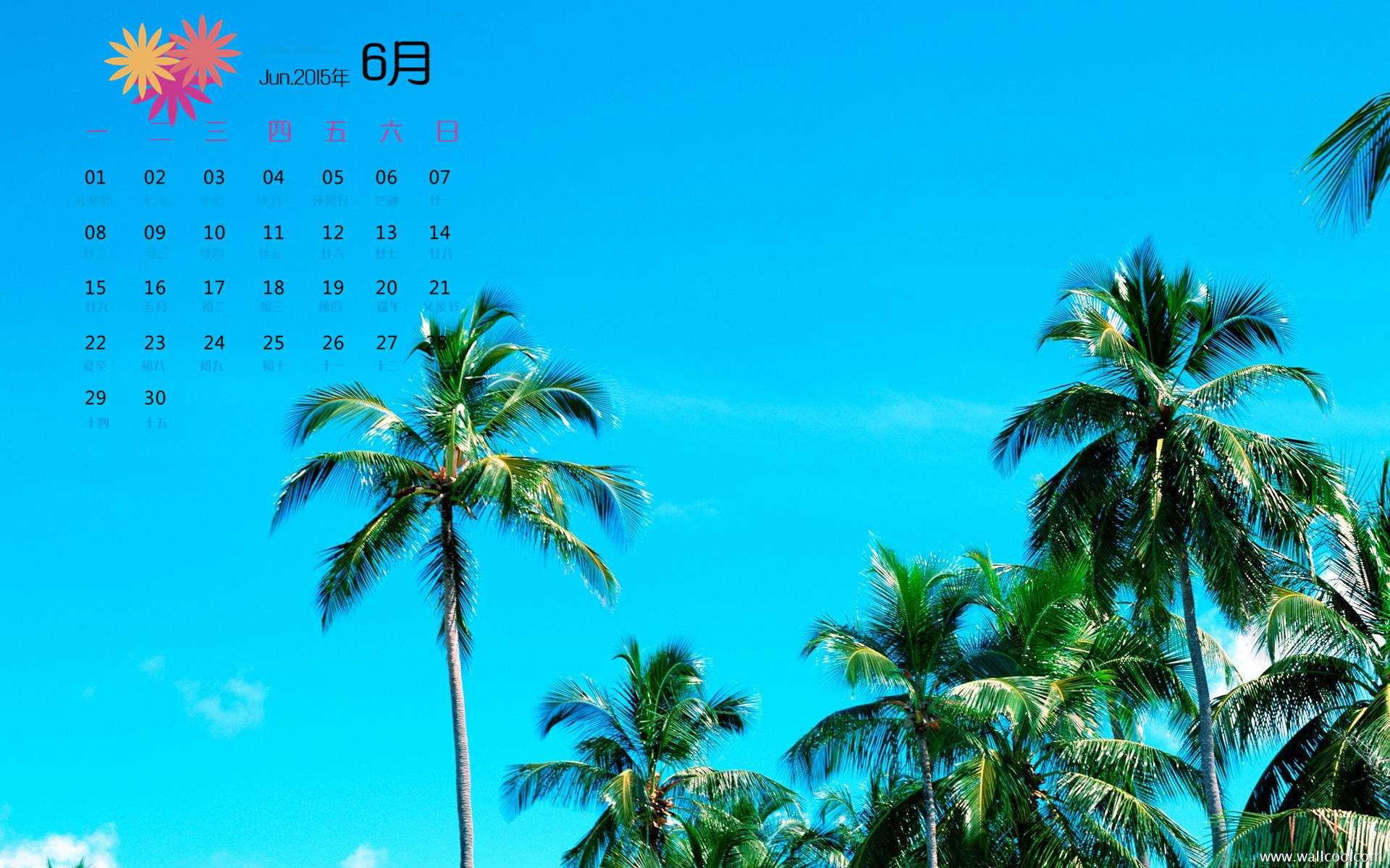 夏日小新清唯美海边风景手机桌面壁纸下载图片