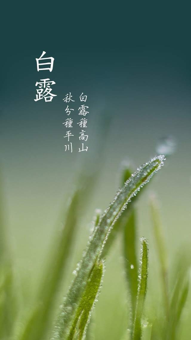 炎热酷暑iPhone5壁纸下载图片