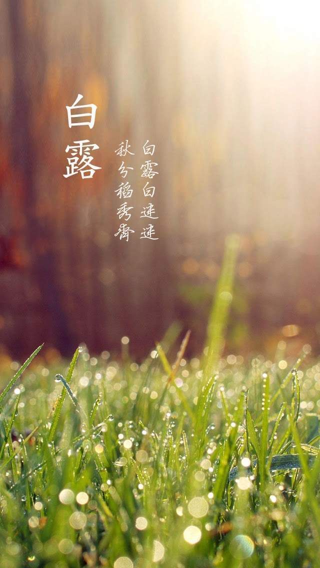 小可爱小萝莉iPhone5壁纸下载图片