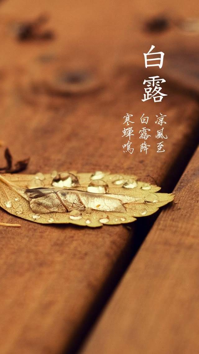 小可爱小萝莉iPhone5壁纸下载图片