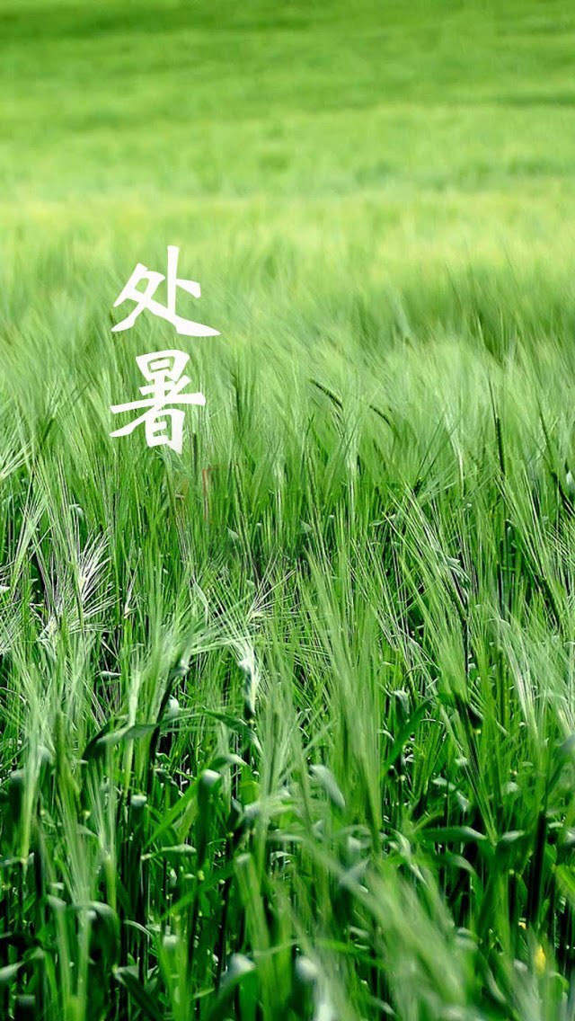 炎热酷暑iPhone5壁纸下载图片