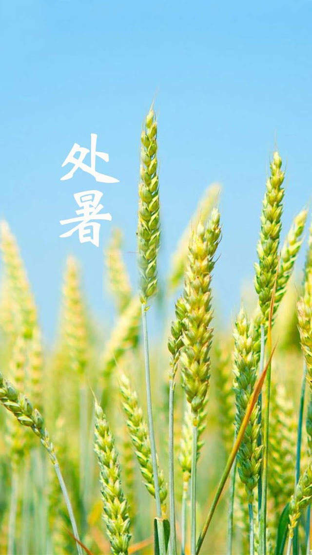 炎热酷暑iPhone5壁纸下载图片