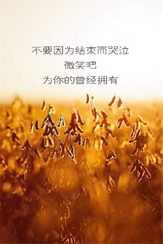 精选非主流个性高清手机壁纸下载图片