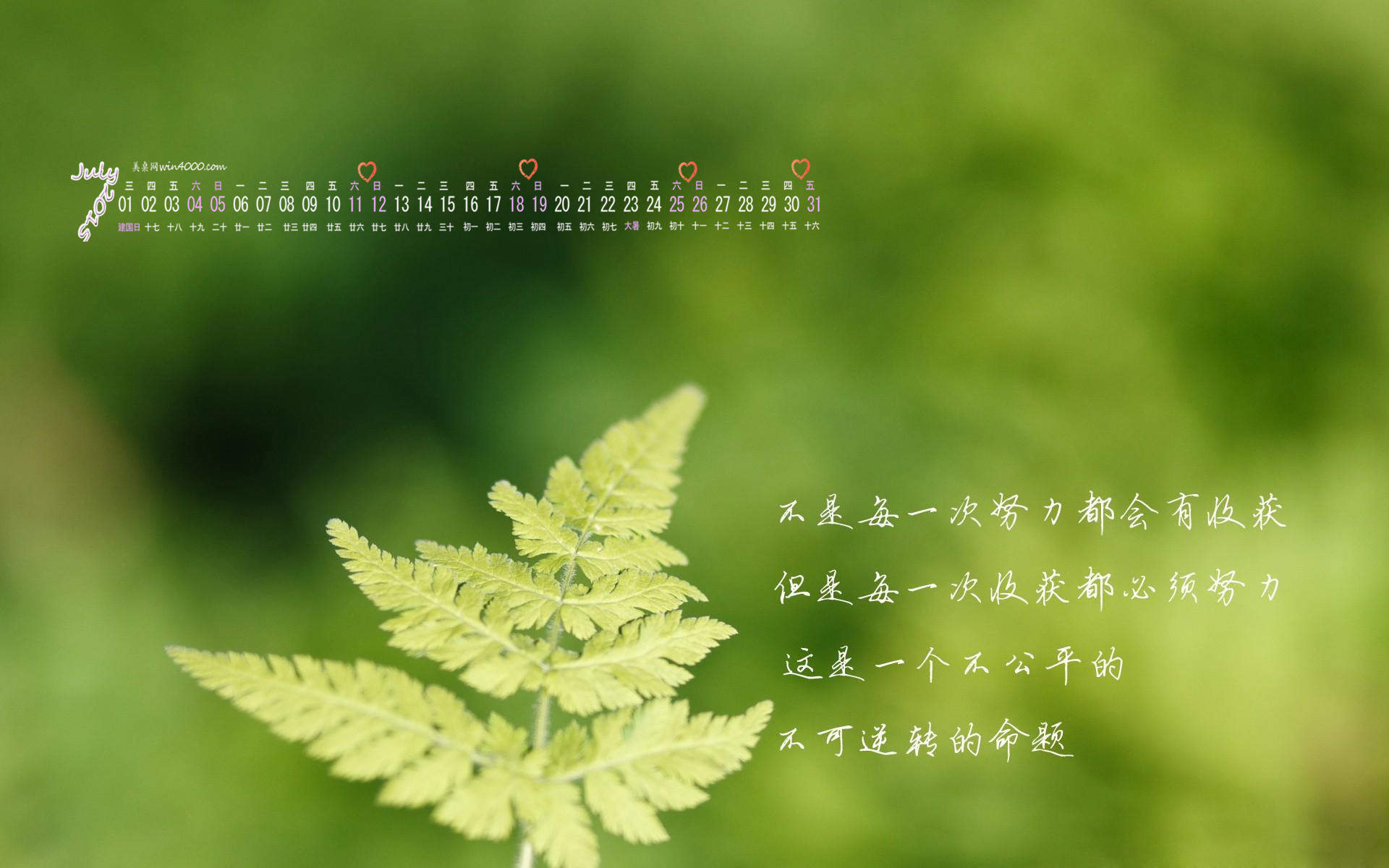 清新文艺范文字控手机壁纸图片