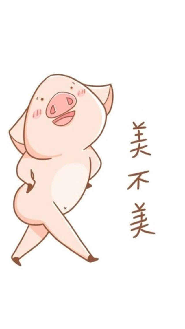 可爱的卡通小猪唯美高清手机壁纸图片