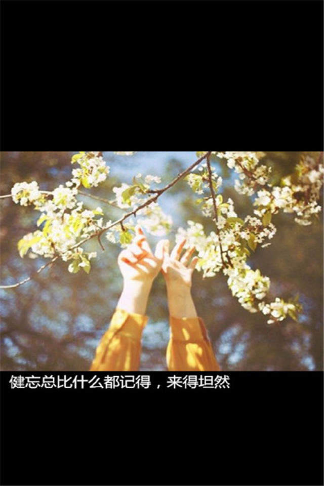 精选伤感非主流唯美清新手机壁纸下载图片