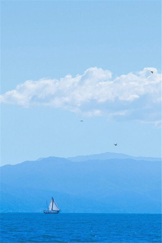 夏日小新清唯美海边风景手机桌面壁纸下载图片