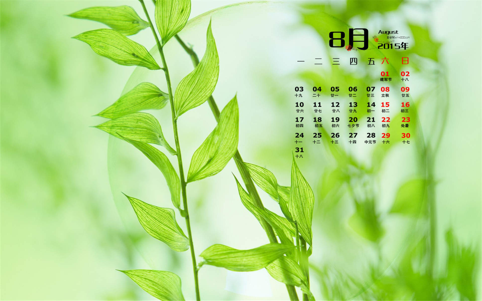 2019年11月赵丽颖魅力写真日历壁纸图片