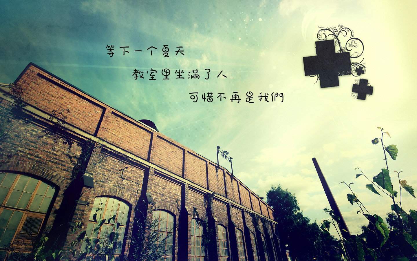 小清新唯美意境图片桌面壁纸图片