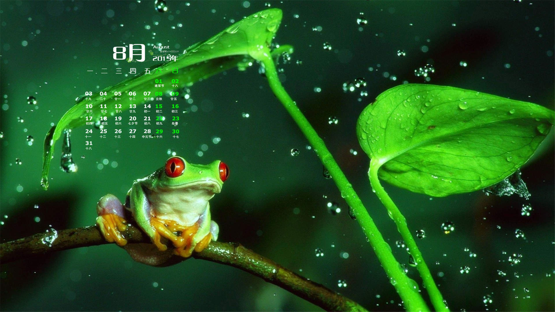 沈梦辰下雨天短裙清纯街拍写真图片图片