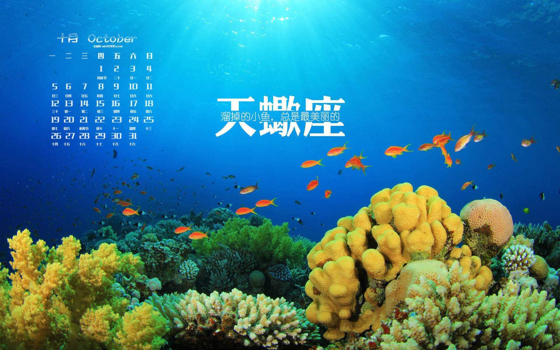 天蝎座图片