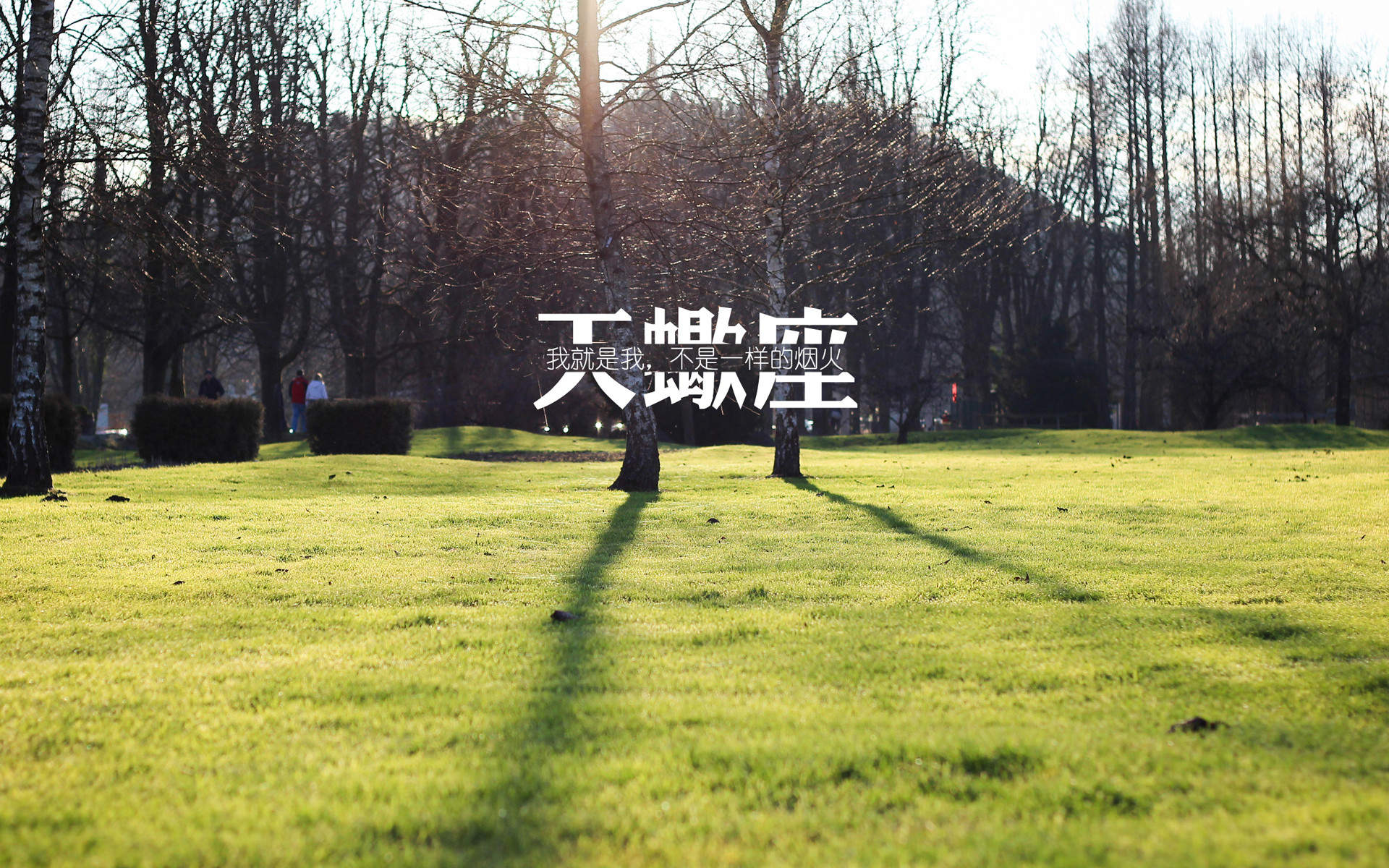 2019年9月天蝎座创意图片日历壁纸图片