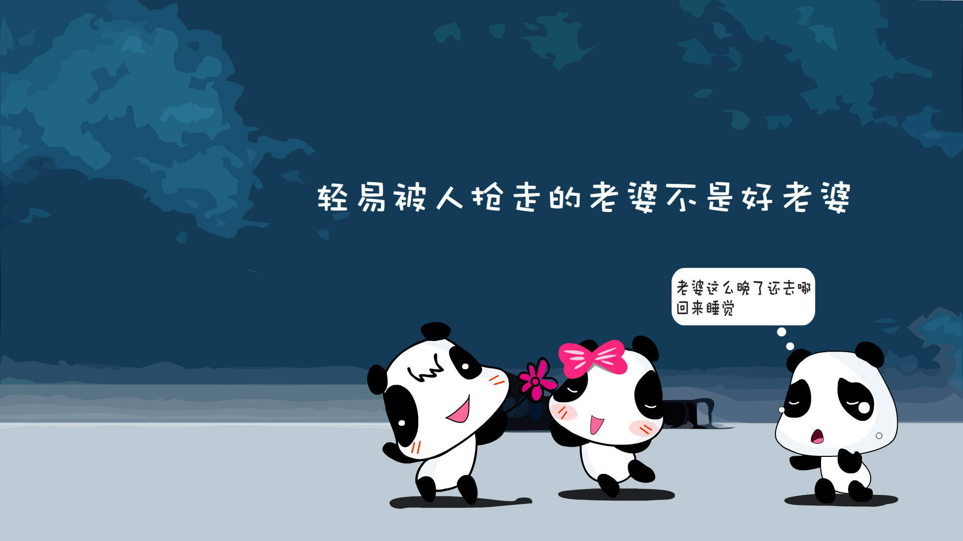 软萌可爱的猫咪桌面壁纸图片