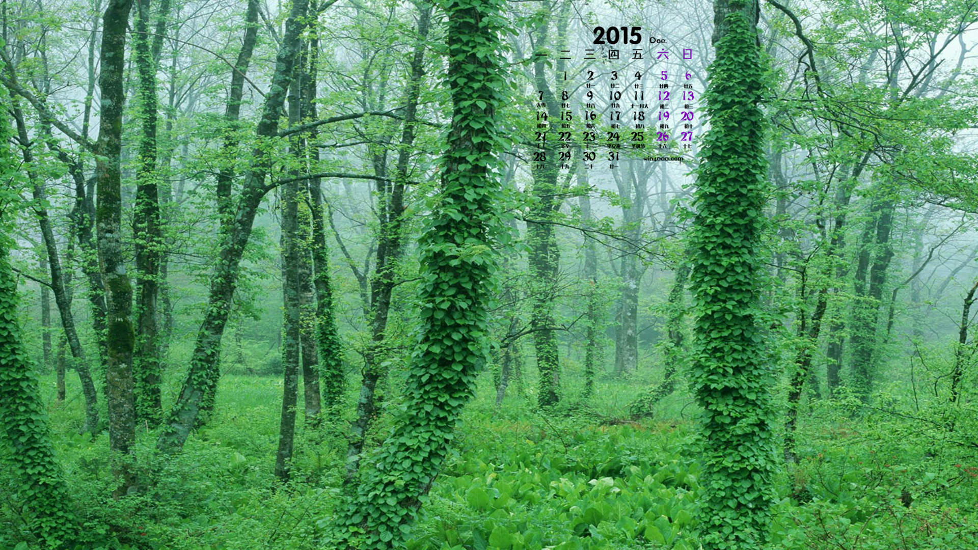 2016年8月日历蓝天下的向日葵高清风景壁纸图片