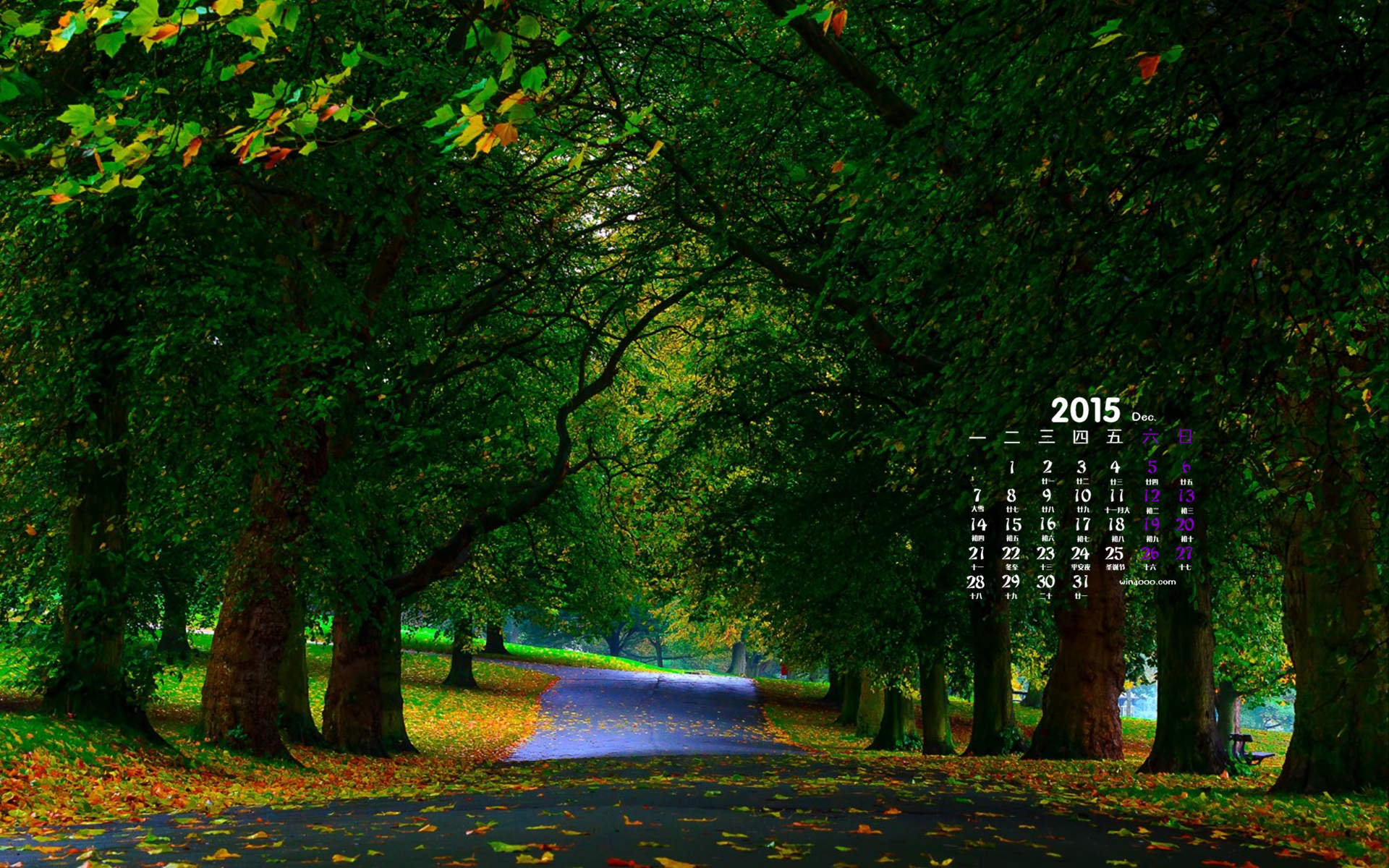 2016年8月日历蓝天下的向日葵高清风景壁纸图片