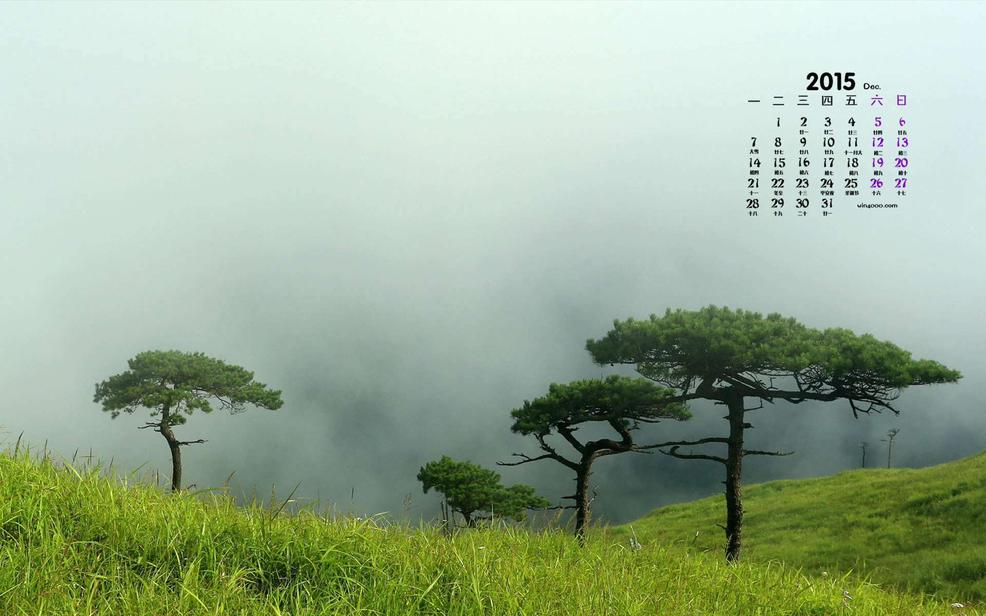 2016年8月日历蓝天下的向日葵高清风景壁纸图片
