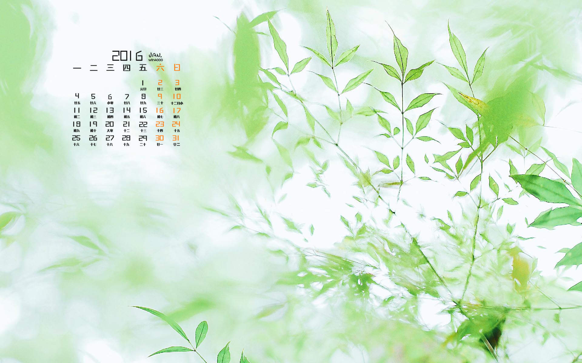 2016年8月日历蓝天下的向日葵高清风景壁纸图片