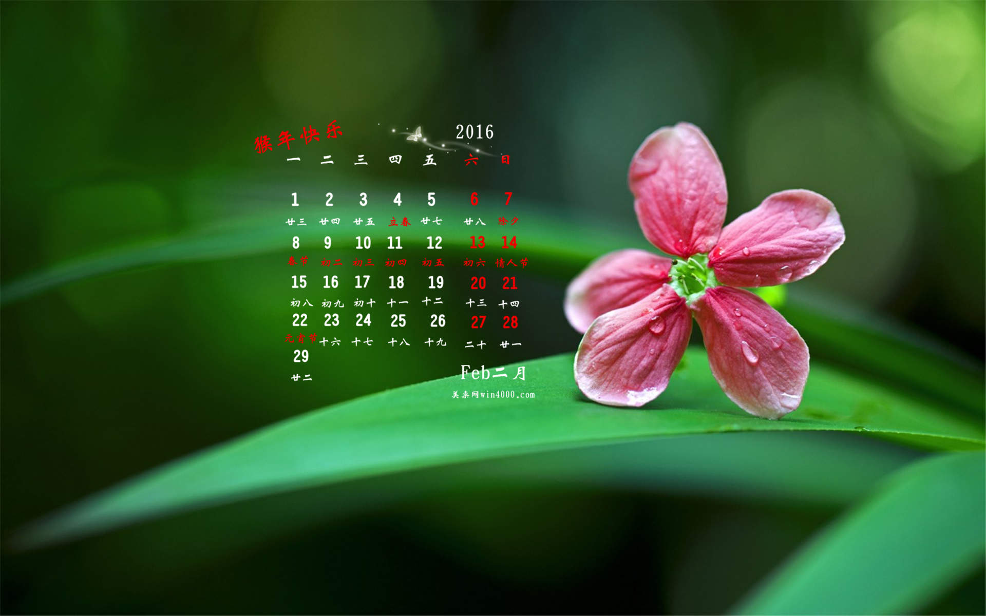 2016年12月日历自然绿色桌面壁纸图片