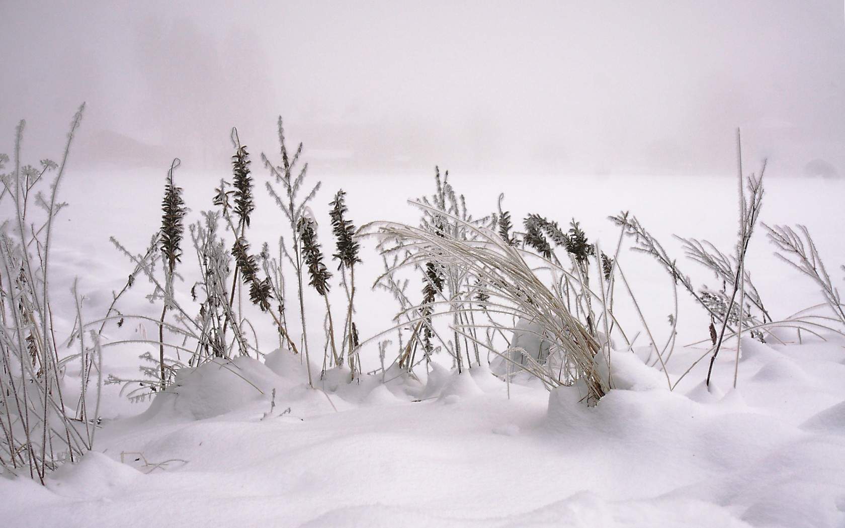 郑秀妍日本函馆冬日雪景唯美写真图片图片