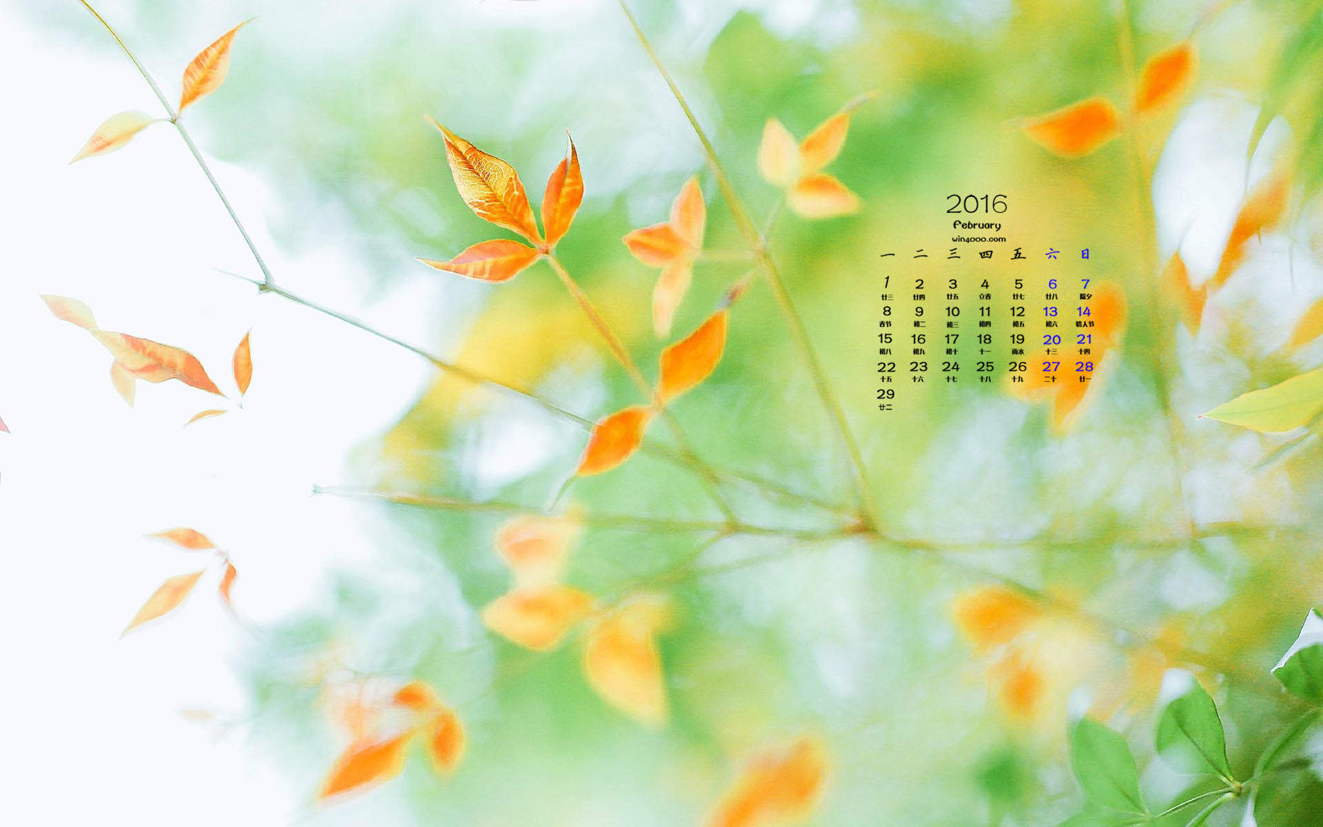 2016年12月日历自然绿色桌面壁纸图片