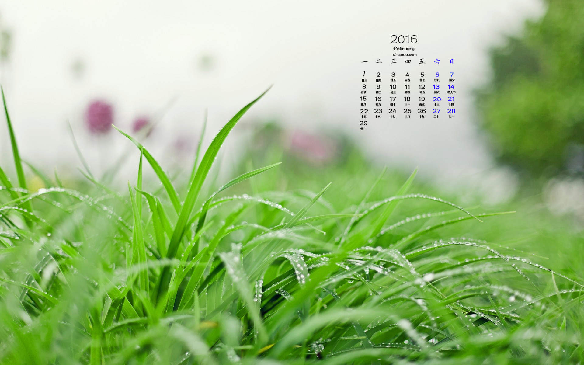 2016年7月日历绿色桌面壁纸图片