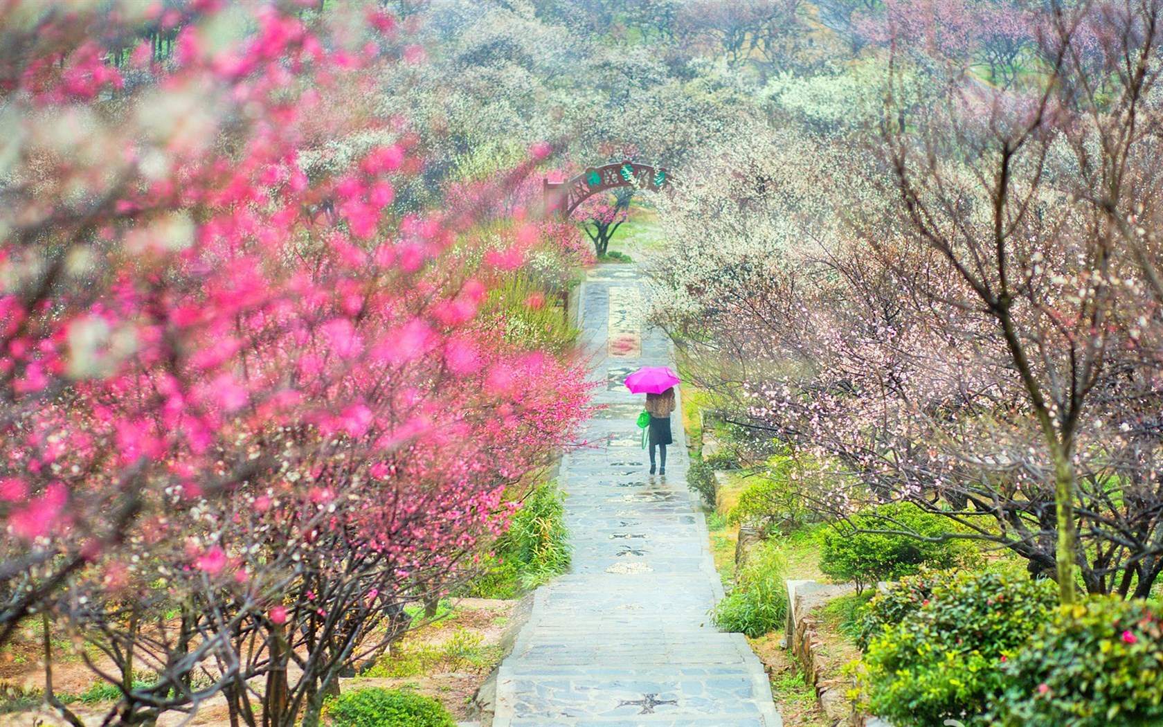 春景图片