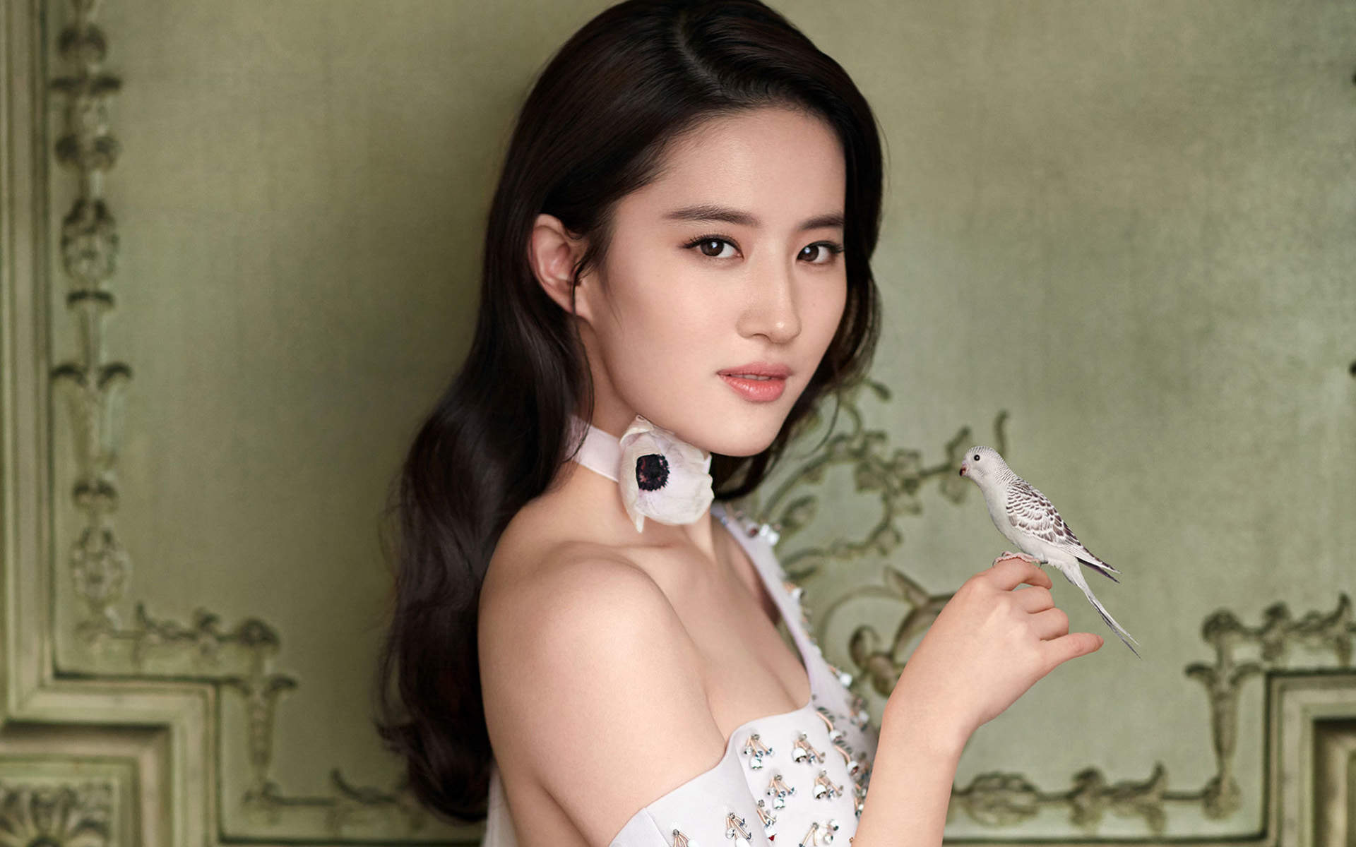 刘亦菲图片